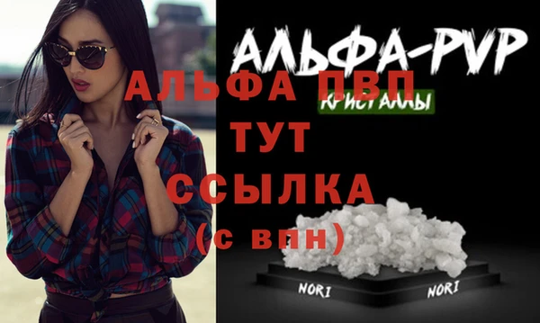 сатива Сосновоборск