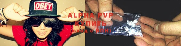 сатива Сосновоборск